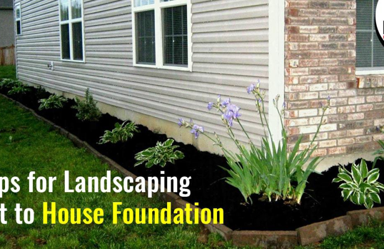 7 Tips for Landscaping Next to House Foundation