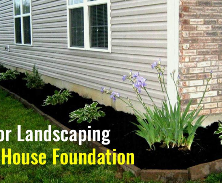 7 Tips for Landscaping Next to House Foundation