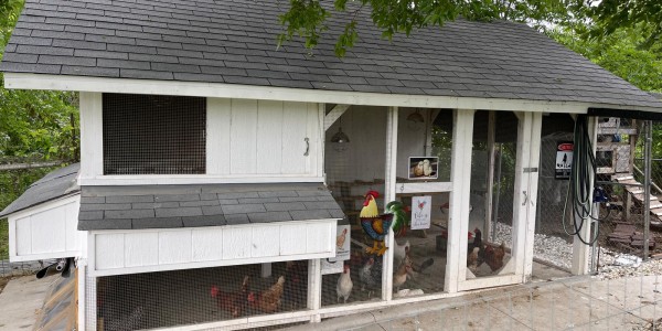 High-End-Chicken-Coup-3