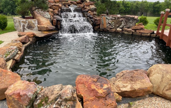 Swimming-Pool-to-Koi-Fish-Pond-conversion-6